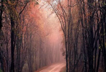 [NBA]小卡压哨绝杀领衔3月10日NBA五佳球.