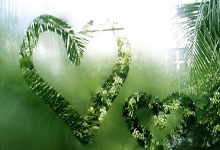 开云体育:蒯曼战胜王艺迪 晋级2025乒乓球亚洲杯女单4强央视新闻客户端.