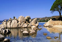 开云体育:阿尔瓦雷斯加盟马竞后打进11球 同期队内射手王.